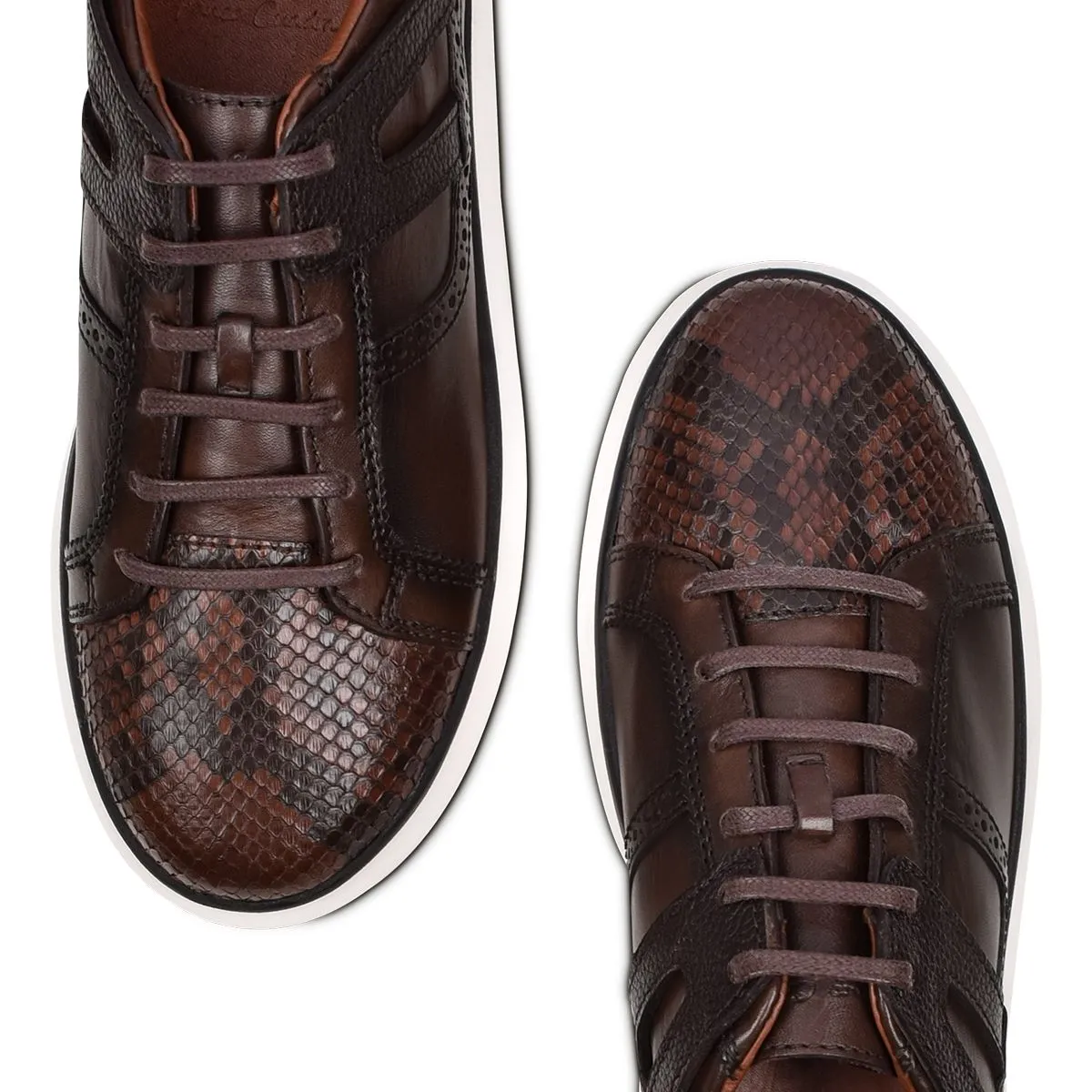 Hand-painted python chocolate leather sneakers